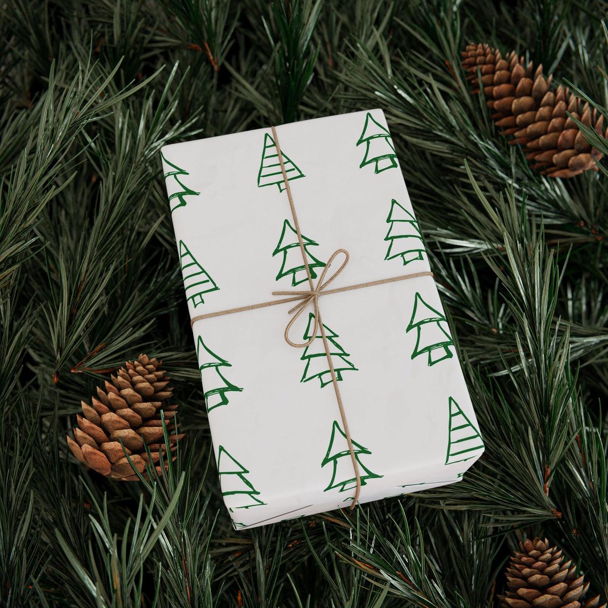 Christmas Tree Pattern Wrapping Paper Roll — Green Sketch Holiday Gift Wrap - Varnish & Vibe