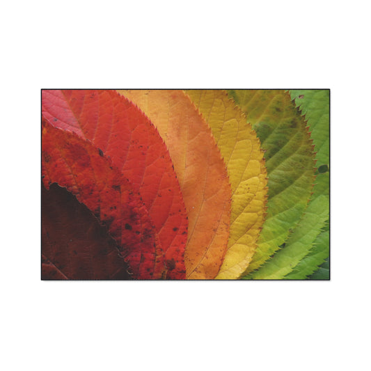 Gradient Leaves Autumn Spectrum Fall Rug
