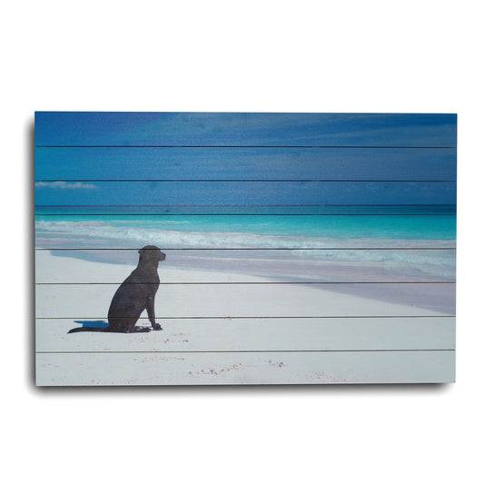 OCEAN DOG AT THE BEACH WALL ART
