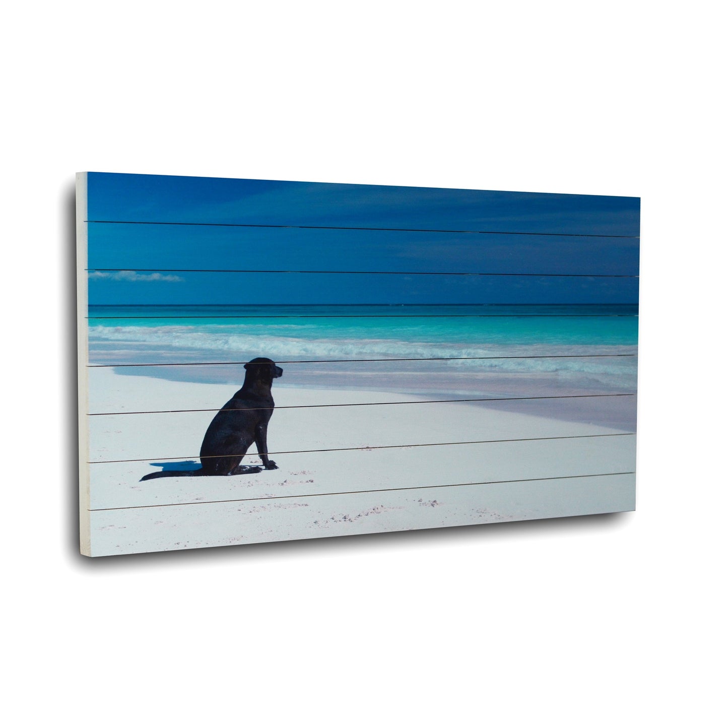 OCEAN DOG AT THE BEACH WALL ART