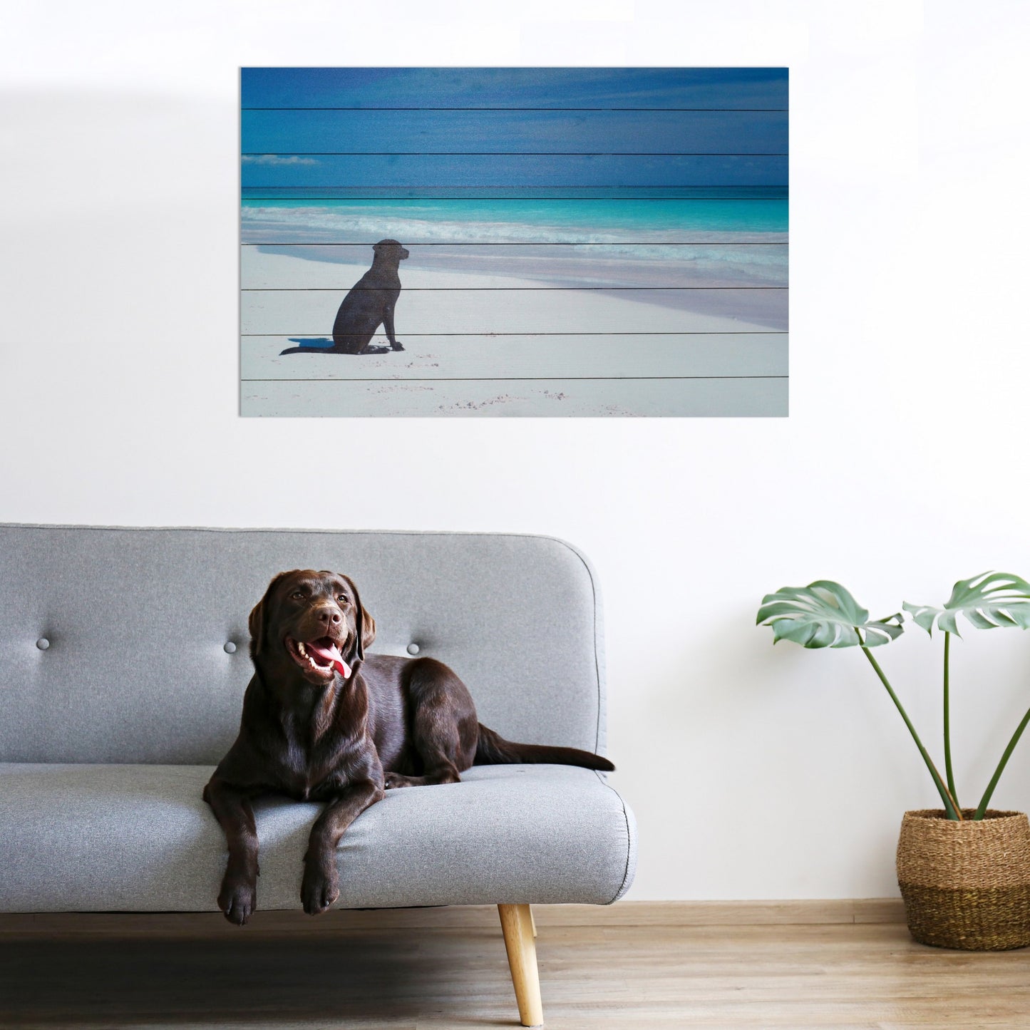 OCEAN DOG AT THE BEACH WALL ART