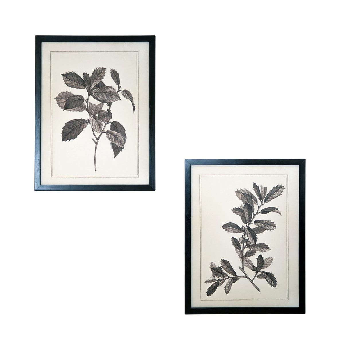 CALABASAS SET OF TWO BLACK AND WHITE BOTANICAL LEAVES FRAMED ART - Varnish & Vibe