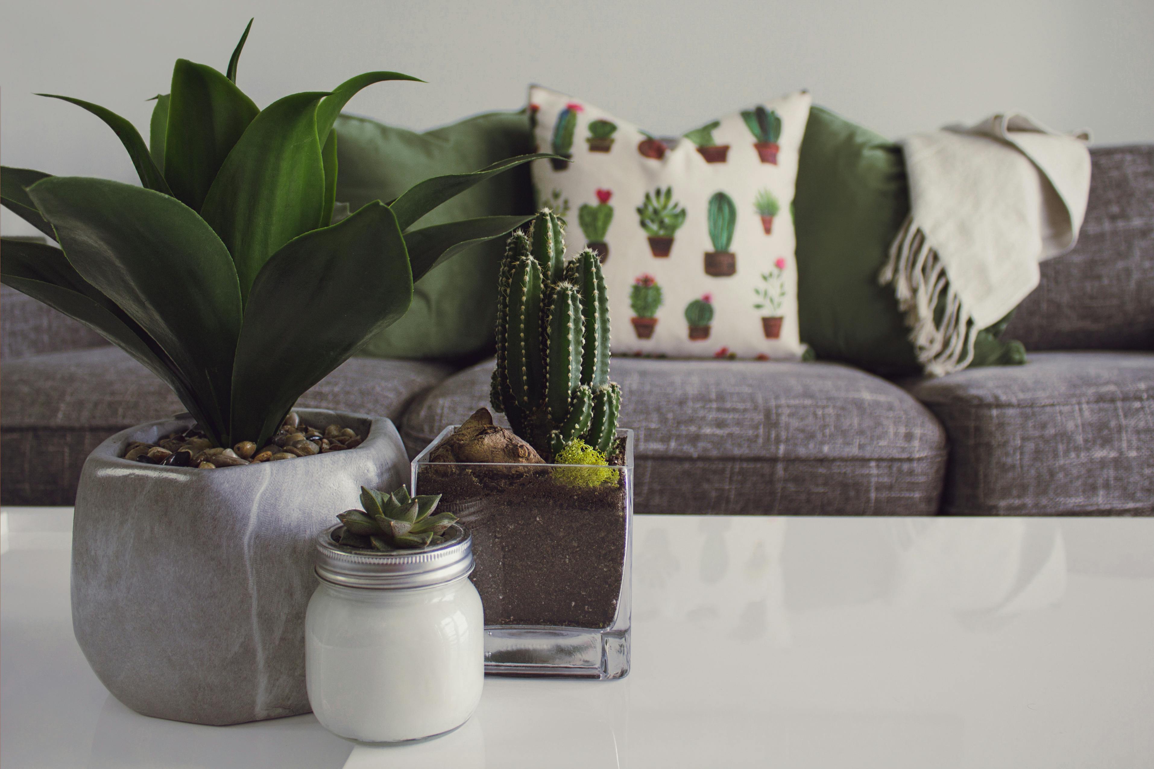 Top 10 Design Rituals for the Year Ahead