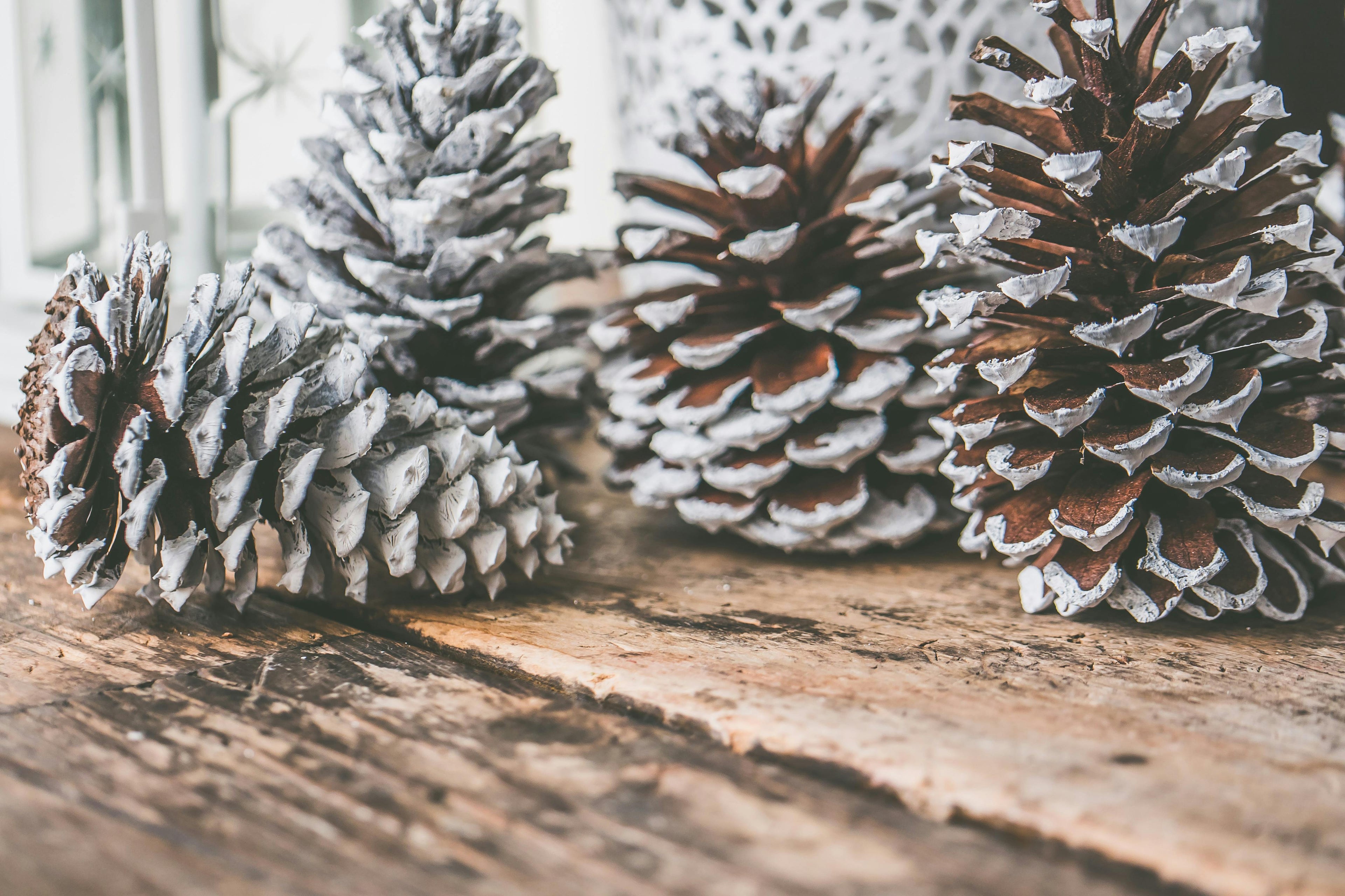 Textures That Tell a Story