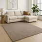 LAUREL 8' X 10' BEIGE SHAG HAND WOVEN AREA RUG