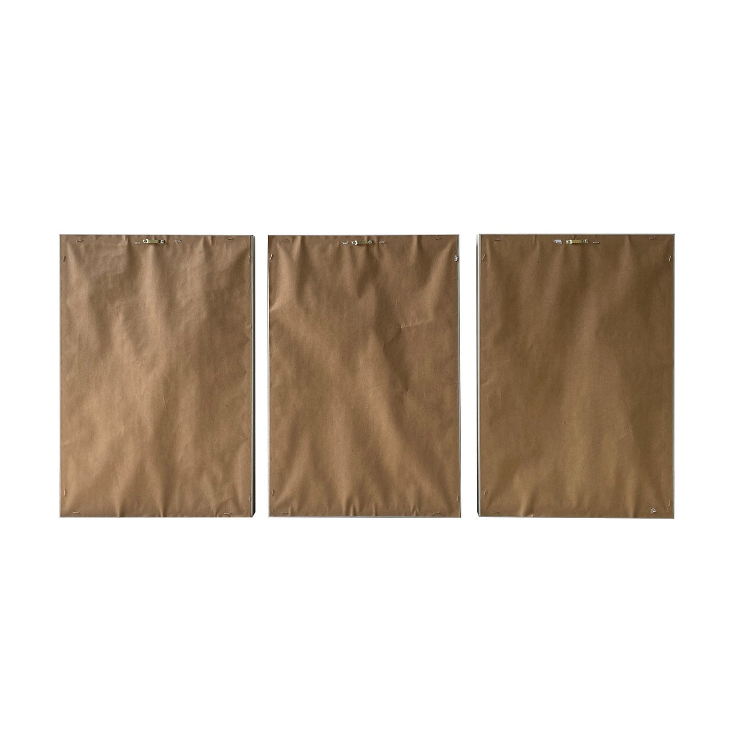 Three brown paper bags of different sizes on a white background