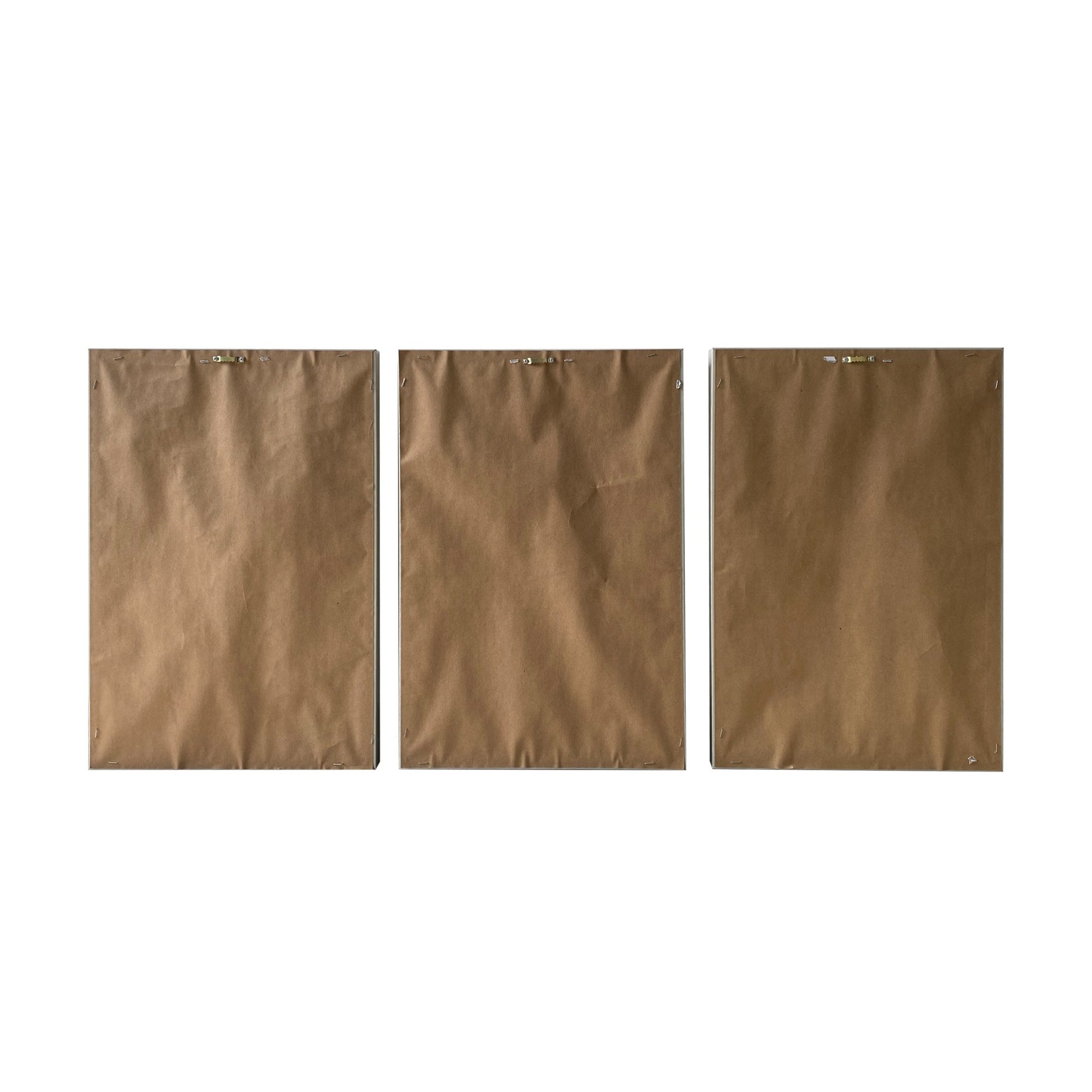 Three brown paper bags of different sizes on a white background