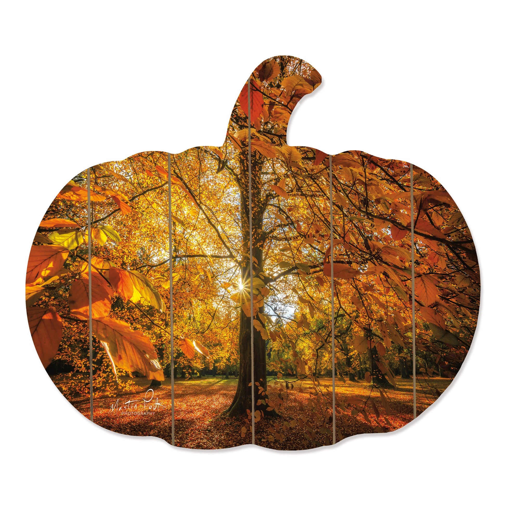 Autumn Leaves Wall Art - Varnish & Vibe