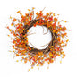 Berry, Twig, Fall, Wreath
