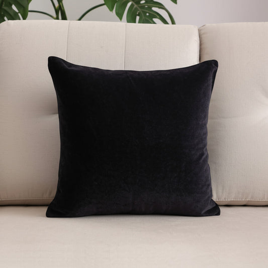 Black pillow on a beige sofa with a plant in the background