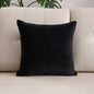 Black pillow on a beige sofa with a plant in the background