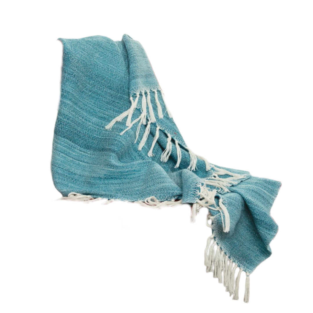 LAKEVIEW TEAL BLUE PET OUTDOOR THROW BLANKET