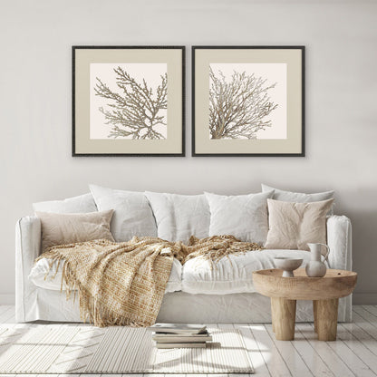 MALIBU SET OF TWO TAUPE CORAL BLACK FRAMED WALL ART - Varnish & Vibe