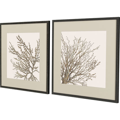 MALIBU SET OF TWO TAUPE CORAL BLACK FRAMED WALL ART - Varnish & Vibe