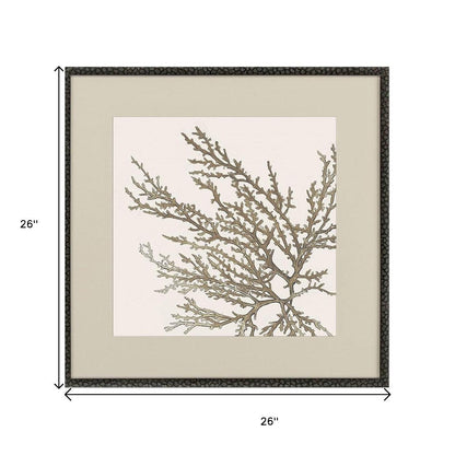coral black framed wall art, taupe coral black framed wall, taupe coral black framed, set taupe coral black framed, coral black framed wall