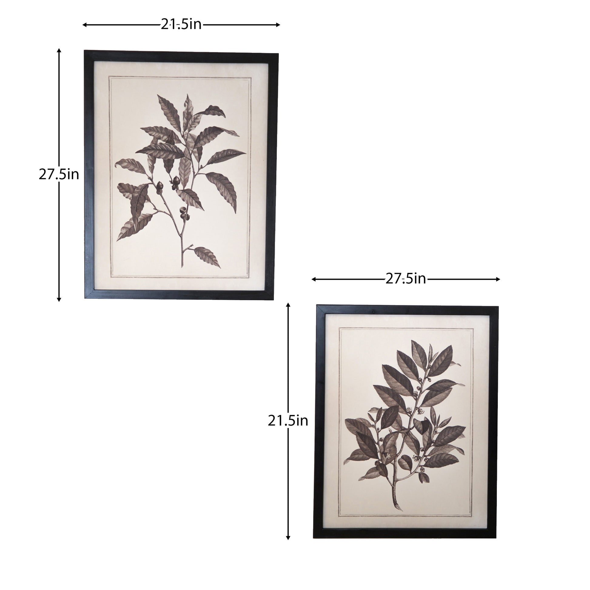 flower canvas square framed art, white flower canvas square framed, flower canvas square framed, black white flower canvas square, canvas square framed art