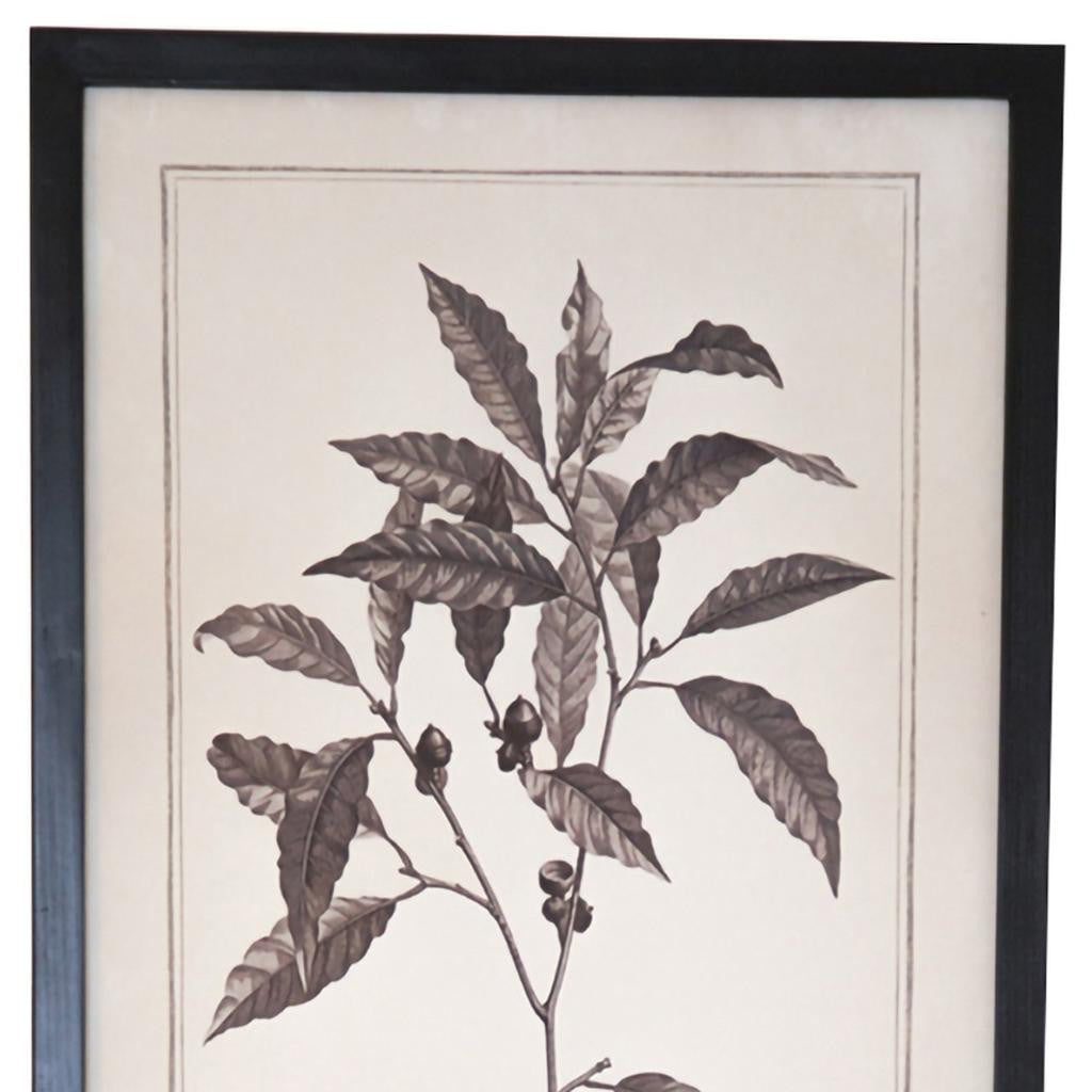 CALABASAS SET OF TWO BLACK AND WHITE FLOWER FRAMED ART - Varnish & Vibe