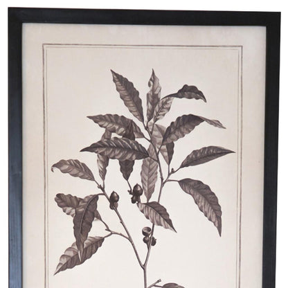 CALABASAS SET OF TWO BLACK AND WHITE FLOWER FRAMED ART - Varnish & Vibe