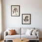 CALABASAS SET OF TWO BLACK AND WHITE FLOWER FRAMED ART - Varnish & Vibe