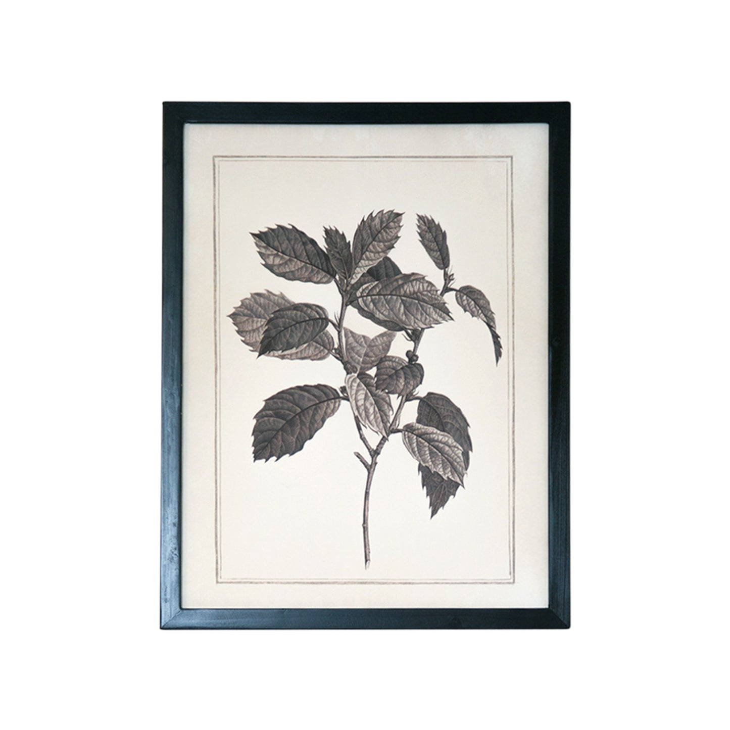 CALABASAS SET OF TWO BLACK AND WHITE BOTANICAL LEAVES FRAMED ART - Varnish & Vibe