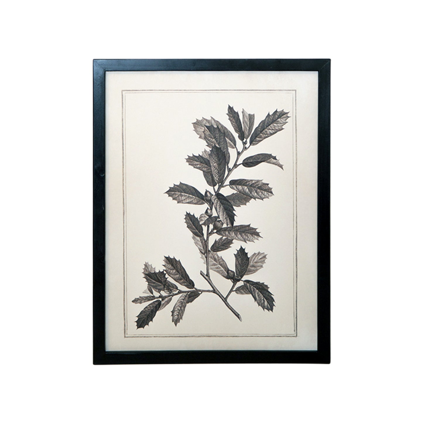 CALABASAS SET OF TWO BLACK AND WHITE BOTANICAL LEAVES FRAMED ART - Varnish & Vibe