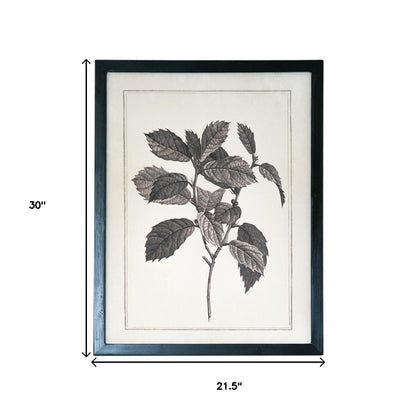 CALABASAS SET OF TWO BLACK AND WHITE BOTANICAL LEAVES FRAMED ART - Varnish & Vibe