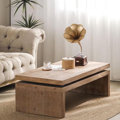 MALIBU 48" NATURAL WOOD DISTRESSED FLOATING FRAME COFFEE TABLE - Varnish & Vibe
