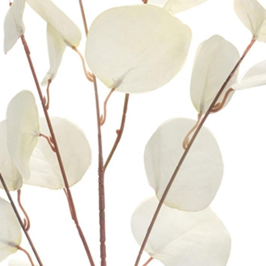 Close-up of the artificial eucalyptus leaf texture