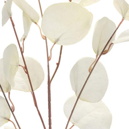 Close-up of the artificial eucalyptus leaf texture