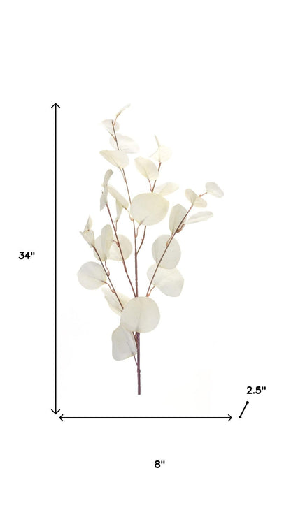 Single white eucalyptus stem detail with measures